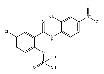 1236036 44 4 CAS号 1236036 44 4 Benzamide 5 chloro N 2 chloro 4