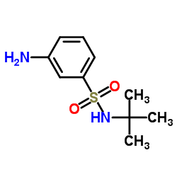 n-叔丁基-3-氨基苯磺酰胺结构式