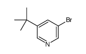 3-溴-5-叔丁基吡啶结构式