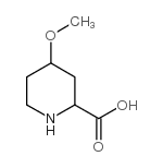 4-methoxy-piperidine-2-carboxylic acid structure