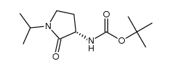 tert-butyl N-[(3S)-1-isopropyl-2-oxo-pyrrolidin-3-yl] carbamate Structure