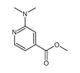 2-(二甲基氨基)异烟酸甲酯图片