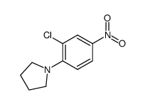 1-(2-chloro-4-nitrophenyl)pyrrolidine图片