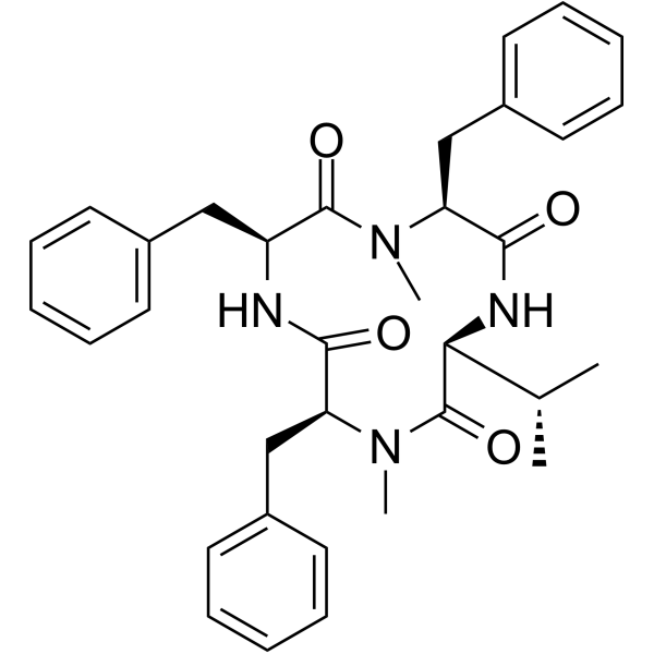 Hirsutide picture