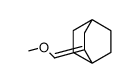 3-(methoxymethylidene)bicyclo[2.2.2]octane Structure