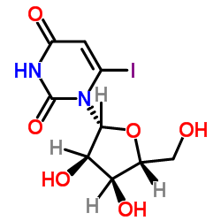 6-Iodouridine picture