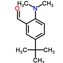 2-(Dimethylamino)-5-(2-methyl-2-propanyl)benzaldehyde结构式