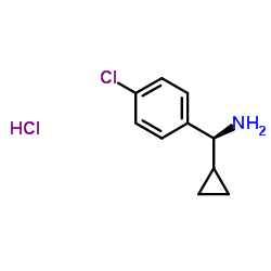 1310923-26-2 structure