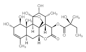 Picras-3-en-16-one,11,20-epoxy-1,2,11,12-tetrahydroxy-15-[(2S)-2-hydroxy-2-methyl-1-oxobutoxy]-,(1b,2a,11b,12a,15b)- Structure