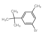 1-BROMO-3-(TERT-BUTYL)-5-METHYLBENZENE picture