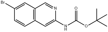 tert-Butyl (7-bromoisoquinolin-3-yl)carbamate picture