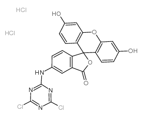 5-([4,6-二氯三嗪-2-基]氨基)荧光素 盐酸盐图片