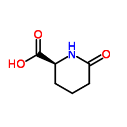 (s)-2-piperidinone-6-carboxylic acid structure