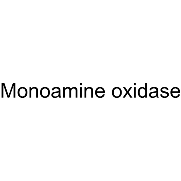 Monoamine oxidase structure