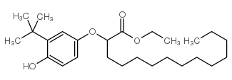 ethyl 2-(m-tert-butyl-p-hydroxyphenoxy)tetradecanoate picture