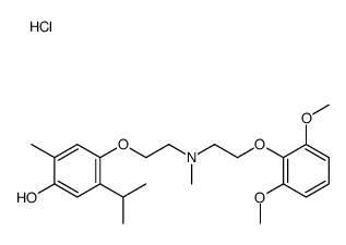 COR 28 22 structure