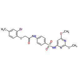 442865-76-1 structure