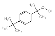 1-(2-hydroperoxypropan-2-yl)-4-tert-butyl-benzene结构式