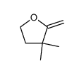 3,3-dimethyl-2-methylene-tetrahydro-furan Structure