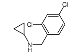 Cyclopropyl-(2,4-dichloro-benzyl)-amine结构式