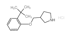 2-(tert-Butyl)phenyl 3-pyrrolidinylmethyl ether hydrochloride结构式