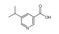 5-异丙基吡啶-3-羧酸图片