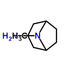 内-8-甲基-8-氮杂双环[3.2.1]辛-3-胺图片