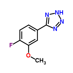 5-(4-FLUORO-3-METHOXYPHENYL)-2H-TETRAZOLE图片