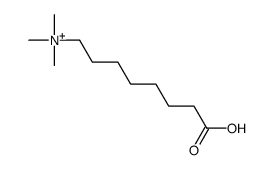 7-carboxyheptyl(trimethyl)azanium Structure