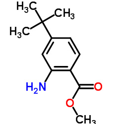 Benzoic acid, 2-amino-4-(1,1-dimethylethyl)-, methyl ester (9CI) picture