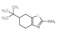 2-氨基-6-叔丁基-4,5,6,7-四氢苯并噻唑图片