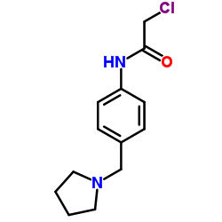 2-CHLORO-N-(4-PYRROLIDIN-1-YLMETHYL-PHENYL)-ACETAMIDE picture