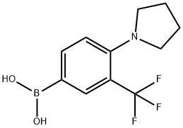 (4-(pyrrolidin-1-yl)-3-(trifluoromethyl)phenyl)boronic acid picture