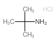 叔丁基氯化铵图片