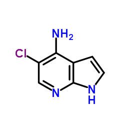 5-chloro-1H-pyrrolo[2,3-b]pyridin-4-amine picture