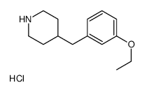 4-(3-Ethoxy-benzyl)-piperidine hydrochloride图片