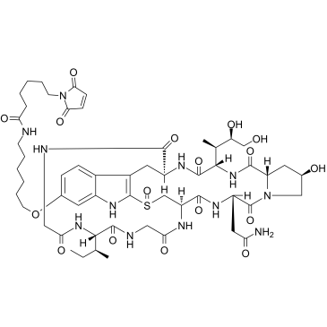 Mal-C6-α-Amanitin structure