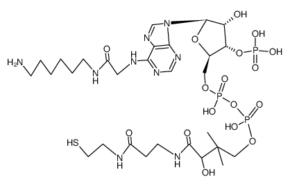 N6-[(6-amino-hexylcarbamoyl)-methyl]-coenzyme-A Structure