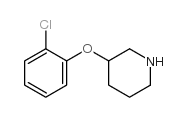 3-(2-chlorophenoxy)piperidine picture