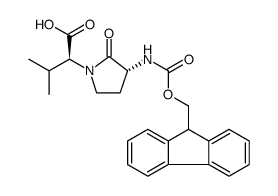 N-FMOC-FREIDINGER'S LACTAM Structure