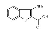 3-Aminobenzo[b]thiophene-2-carboxylicacid structure