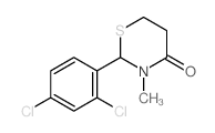 2-(2,4-dichlorophenyl)-3-methyl-1,3-thiazinan-4-one Structure