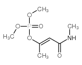 919-44-8 structure