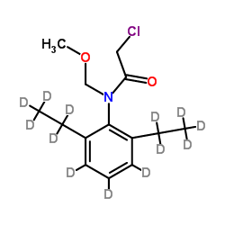 alachlor-d13 picture