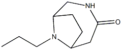 9-propyl-3,9-diazabicyclo[4.2.1]nonan-4-one Structure