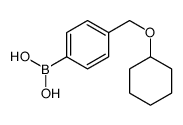 4-(环己氧基)甲基苯硼酸图片