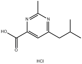 6-isobutyl-2-methyl-4-pyrimidinecarboxylic acid hydrochloride结构式