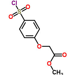 56077-78-2 structure