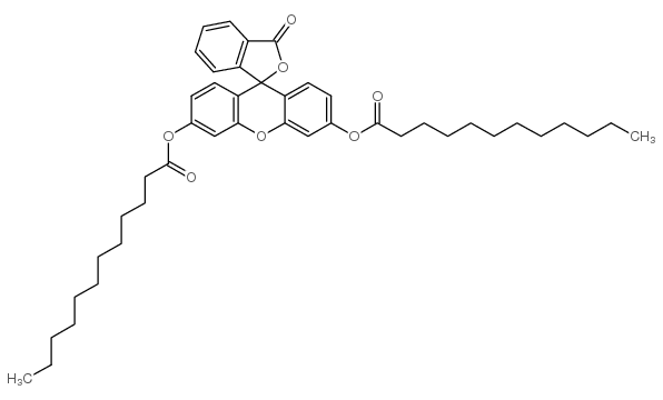 3-Butynyl 2-bromoisobutyrate picture