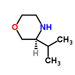 (S)-3-异丙基吗啉图片